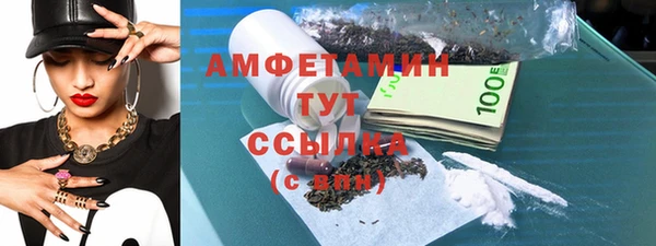 шишки Заволжье