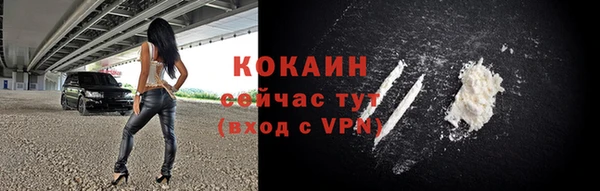 гидра Данков