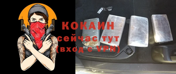 шишки Заволжье