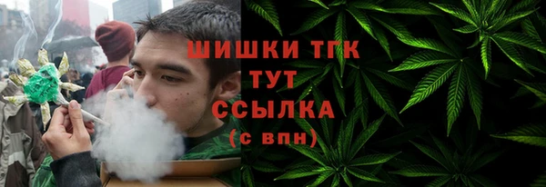 шишки Заволжье