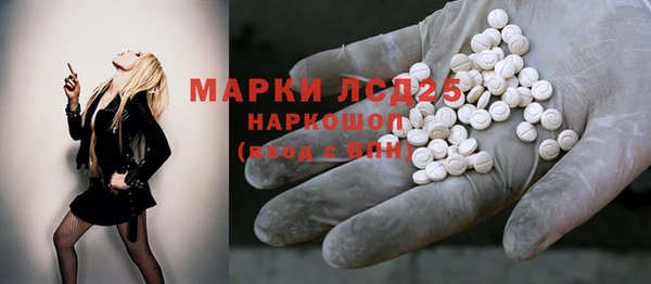 шишки Заволжье