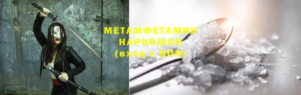 шишки Заволжье