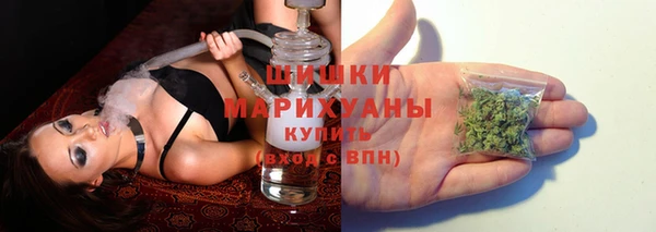 МДПВ Заводоуковск