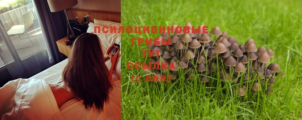 МДПВ Заводоуковск
