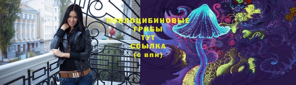 МДПВ Заводоуковск