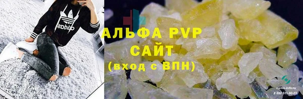 шишки Заволжье