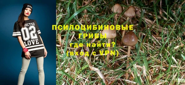 шишки Заволжье