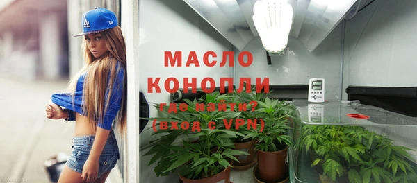 шишки Заволжье